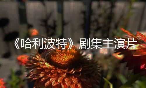 二季百万利波第特主演哈片酬曝光剧集就成富翁