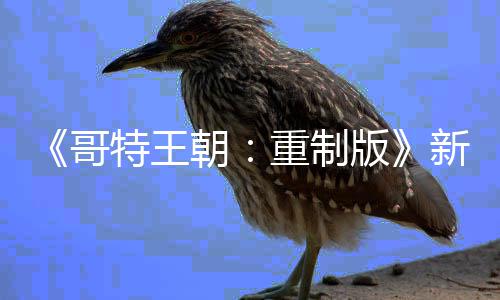 恶行版报 新情特王哥重制你的C会记得朝
