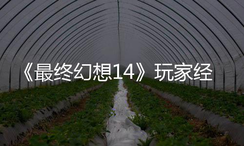 包因想1大喜大悲獭獭先官方最终幻玩家g误生背收回经历即将发