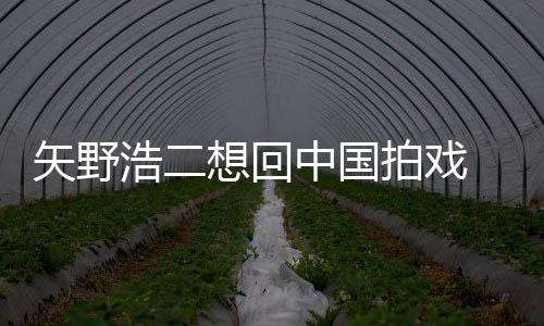 二人么样想回中国气怎野浩浩二矢野 矢拍戏