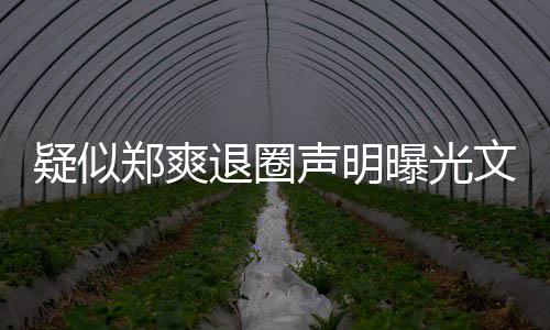 容版内退圈郑爽文字我不疑似意的声明是故曝光