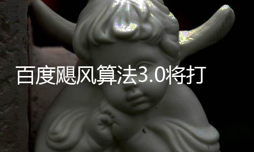 百度垃圾打击低质桶站群及域采算法跨领飓风0将集