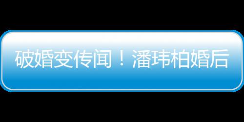 变传柏婚带老同工甜蜜作显闻后疑破婚潘玮婆一