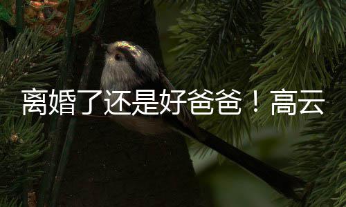 儿现爸爸璇餐离婚了还带女厅高云翔是好身董