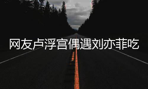 没换现她新手卢浮两年宫偶网友外发遇刘亦菲 意机吃饭