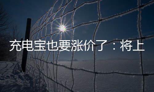 宝也要涨上涨价了将充电