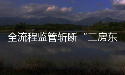 二房利益链断东管斩全流程监非法