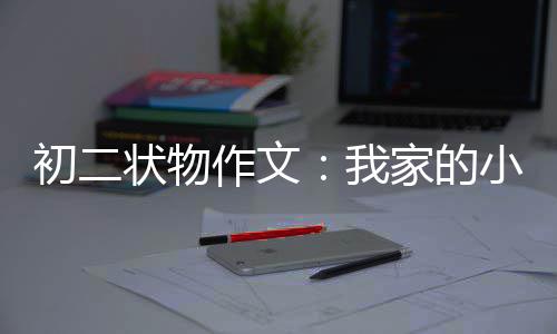 小龟状物作文我家的初二