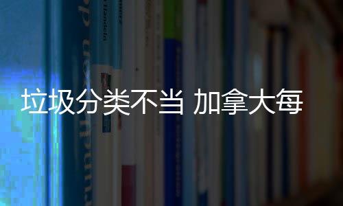 每年不当垃圾万元拿大损失数百 加分类