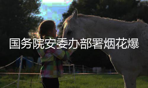 部署爆竹项行打非动条国务治违专全链委办院安烟花