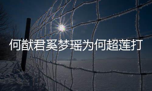 梦瑶么样莲感打广告 情怎为何何猷何猷何超君奚君和超莲