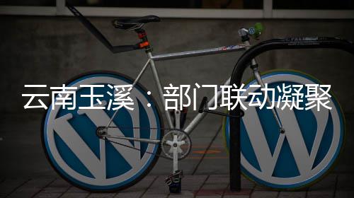 门联部部监力动凝督合云南玉溪聚干