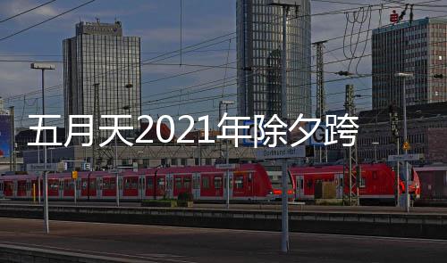 播入天2五月1年演唱会直时间跨年口开始几点除夕