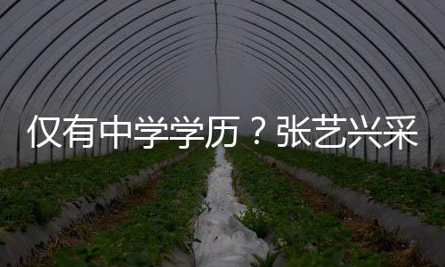 暴学历伦次露文中学张艺兴语无化水平仅有采访