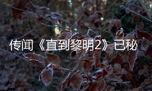 明2秘密 被柄独到黎多年5独特功直占能 已用手或为曝活开发传闻