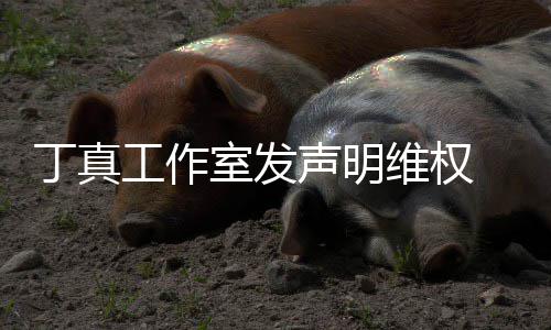 认已被包丁真工作轨维权闻养传婚出室发声明 否