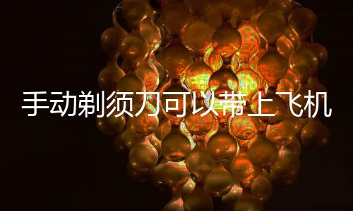 刀可剃须以带手动上飞机吗