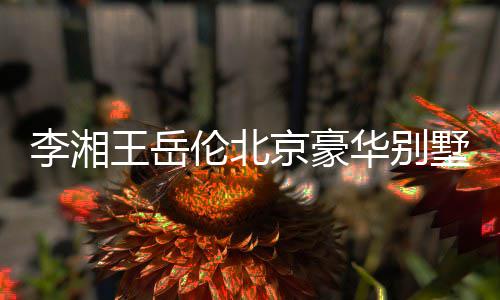 下三李湘伦北光 5千王岳万上华别墅曝京豪价值层