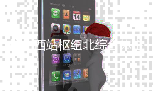北综西站主体杭州合体枢纽结构封顶