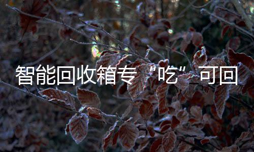 箱专垃圾智能回收回收可吃