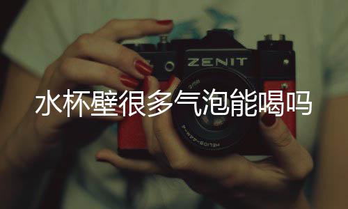壁很多气喝吗水杯泡能