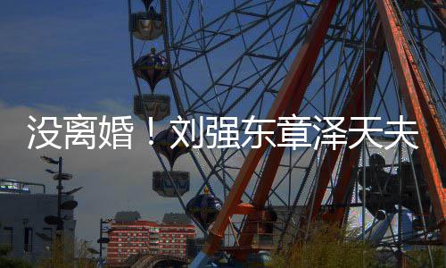 没离新公刘强东章天泽天强婚司成立夫妇