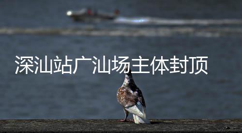 迈入新阶 大段站广主体湾区深汕汕场枢纽建设封顶