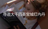 寻道大千四圣宝域红内丹获取指南攻略