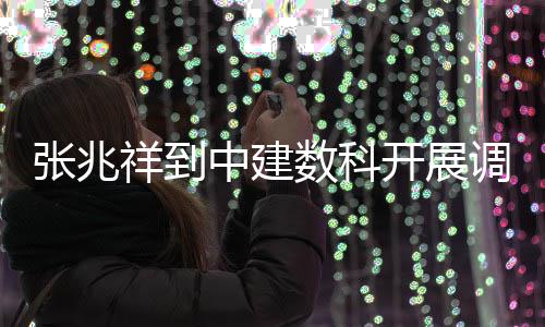祥到调研张兆中建数科开展