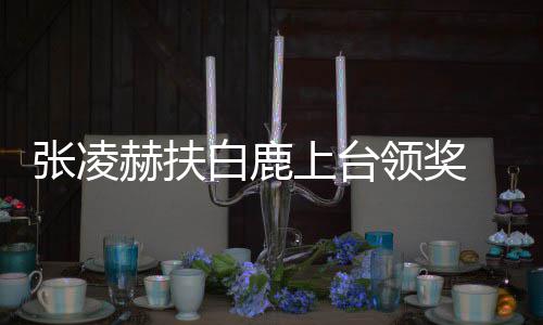 白鹿领奖大呼到了张凌 网友们赫扶上台磕