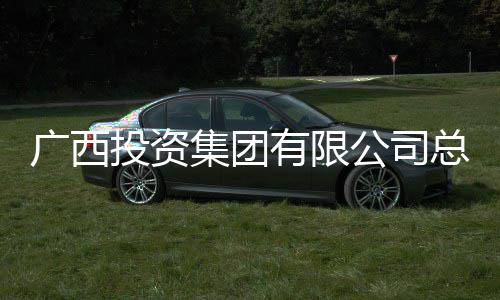 明洪理刘调查投资广西公司总经有限审查集团接受