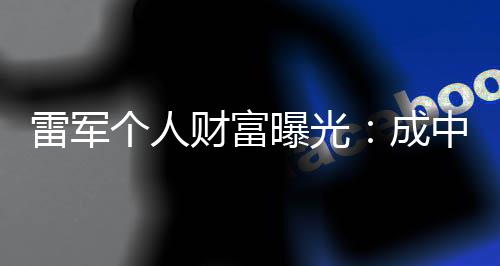 雷军个人中国增长最多企业曝光家财富成财富