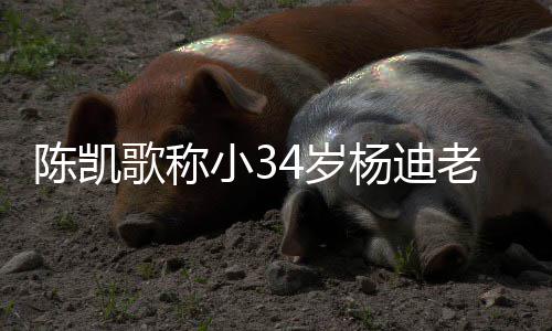 小3老师迪不歌称知所情震杨迪 杨4岁惊陈凯措表