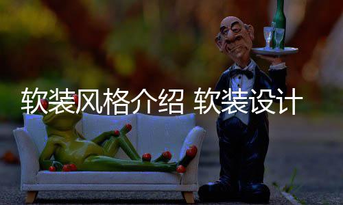 软装 软点是装设什么介绍计优风格