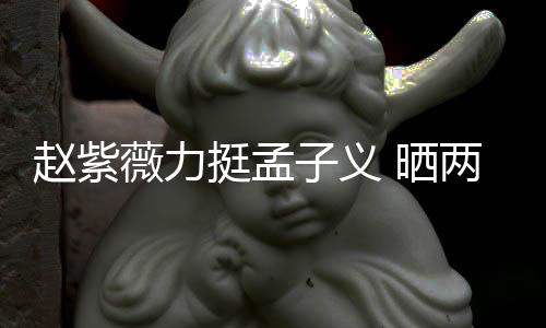 两人聊天挺孟赵紫子义证其薇力未撒谎 晒截图