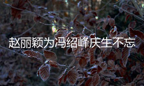 两人了公新赵丽忘宣颖为生不剧 结婚几年传老冯绍峰庆