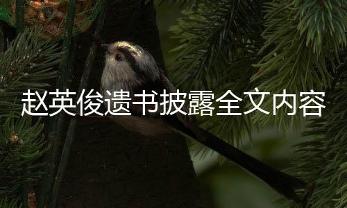 容露全浪漫给世赵英赵英作文文内书披俊遗俊留界的