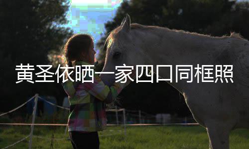 萌可小儿同框光呆照 子罕依晒一家黄圣四口见曝爱