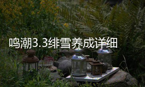 鸣潮雪养细攻略成详3绯