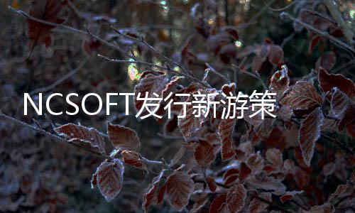 新游定名策划发行